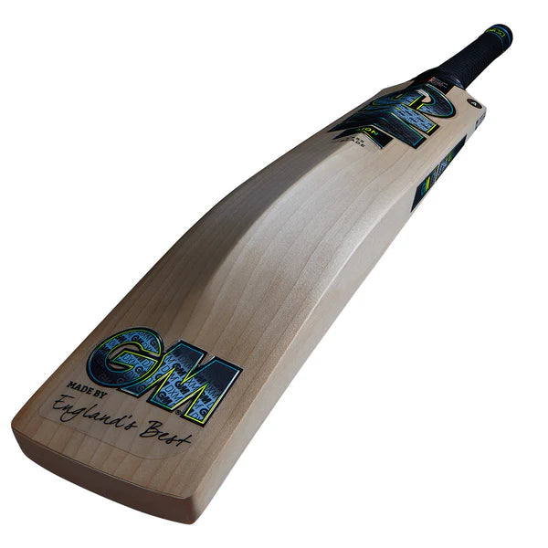 GM Aion DXM 606 Cricket Bat