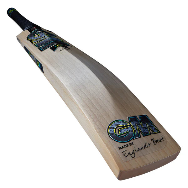 GM Aion DXM 606 Cricket Bat