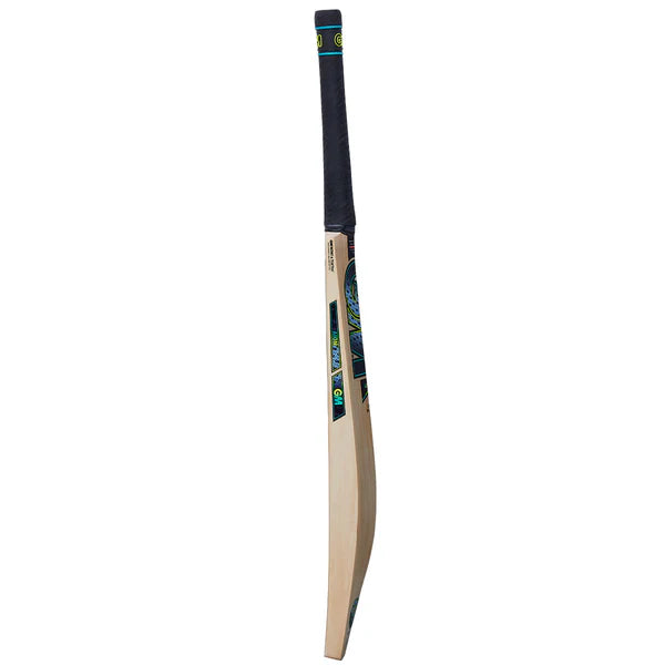 GM Aion DXM 606 Cricket Bat