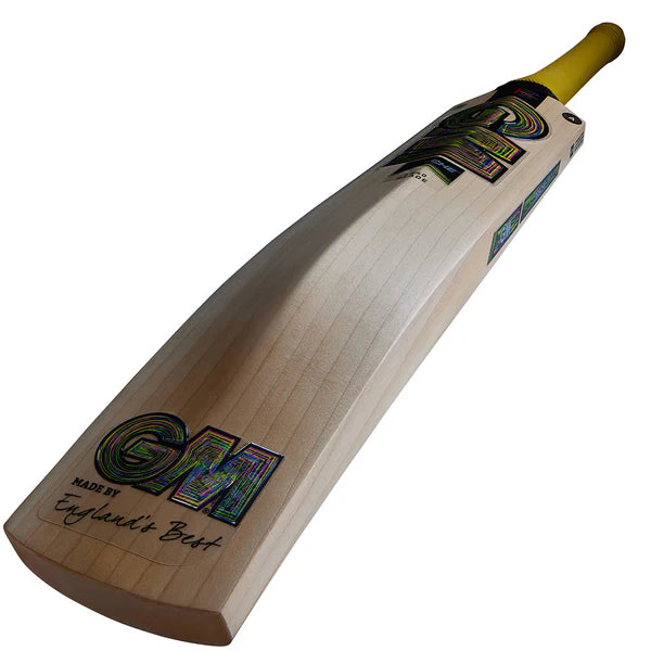 GM Psyche DXM 606 Cricket Bat