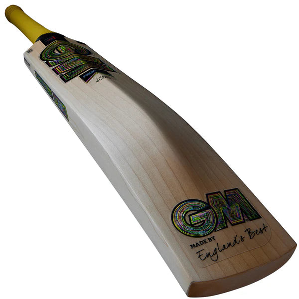 GM Psyche DXM 606 Cricket Bat