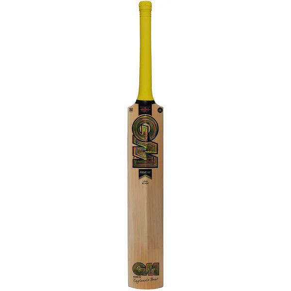 GM Psyche DXM 606 Cricket Bat