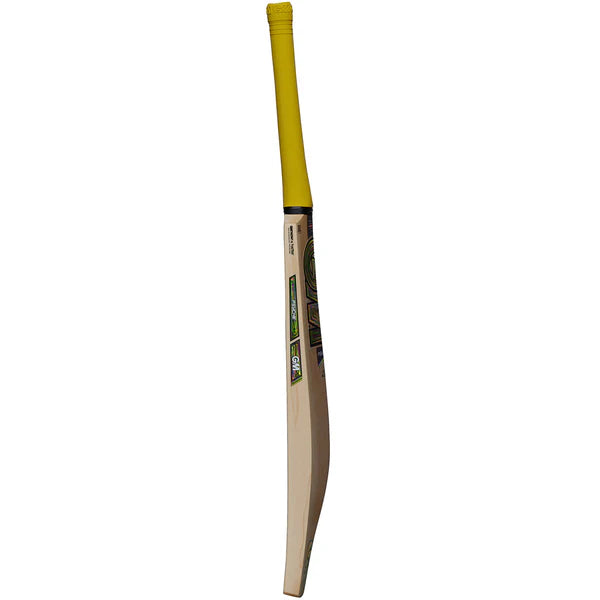 GM Psyche DXM 606 Cricket Bat