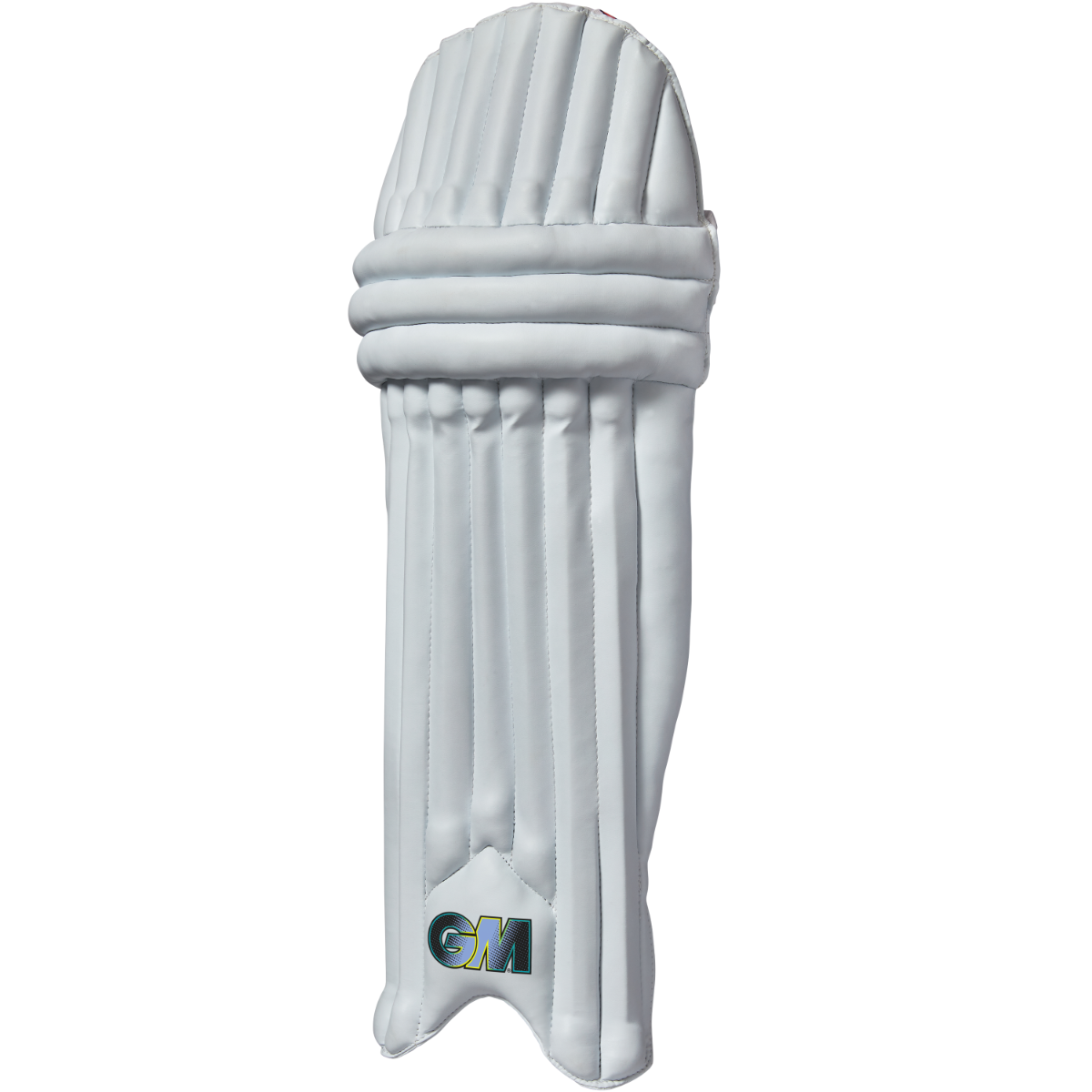 GM Aion Cricket Batting Pads