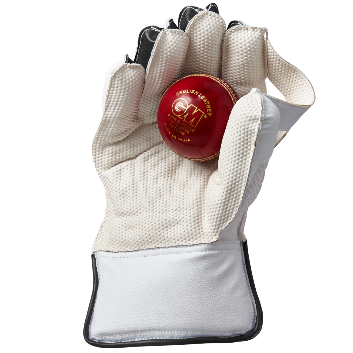 GM Aion Wicket Keeping Gloves