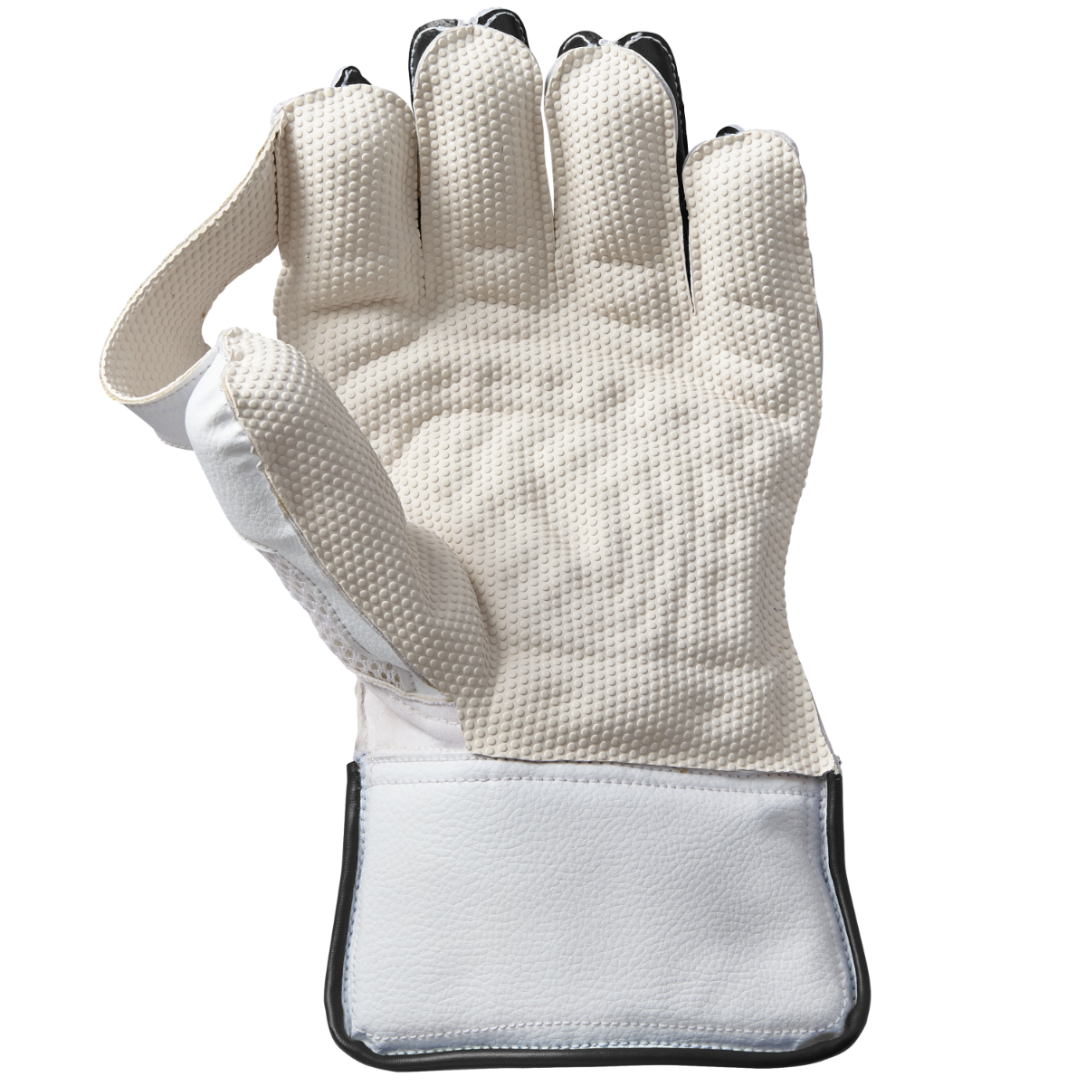 GM Aion Wicket Keeping Gloves