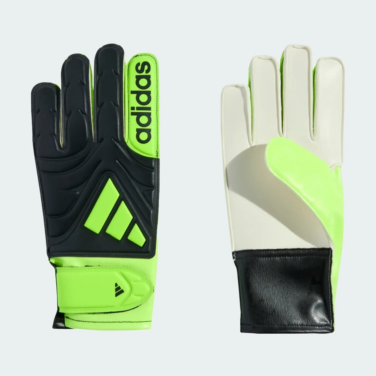 Adidas Copa Club Gk Glove
