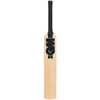 GM Noir DXM 404 Delta Cricket Bat