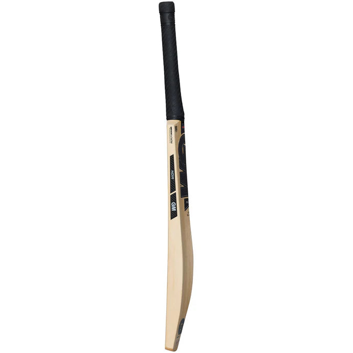 GM Noir DXM 404 Delta Cricket Bat