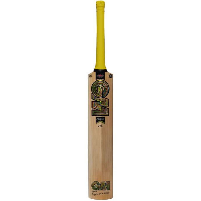 GM 808 Psyche Cricket Bat