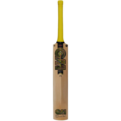GM 808 Psyche Cricket Bat
