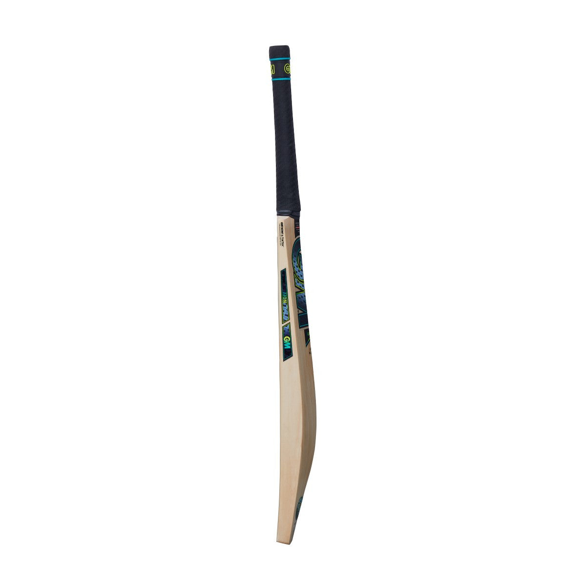 GM Aion 404 DXM Junior Cricket Bat